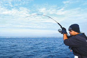 隠岐の島キャスティング&ジギング〜チョウカンス・フィールドアドバイザー同行〜